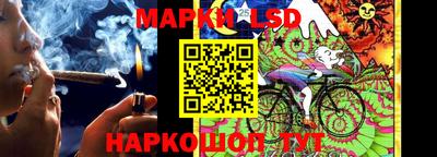 spice Абинск