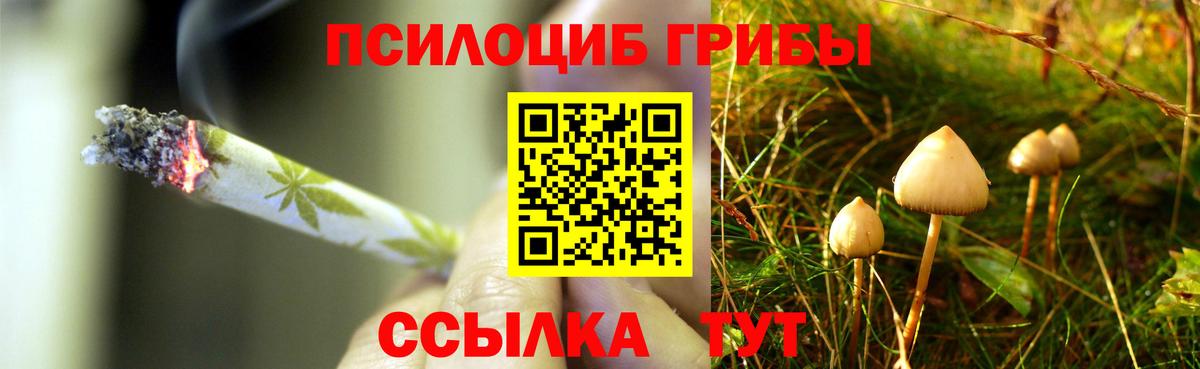 Красный Сулин  Псилоцибиновые грибы ЛСД  Псилоцибиновые грибы прущие грибы  Вход с VPN 